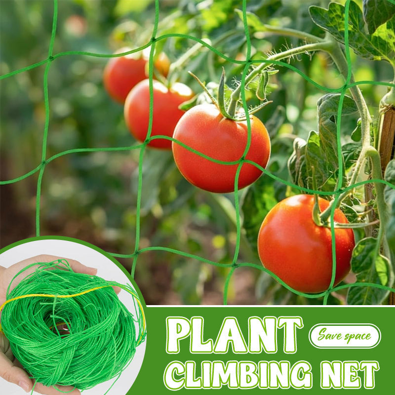 Dite addio ai rami spezzati. La rete ultra resistente per le vostre verdure. 💪🥒--Rete rampicante per piant