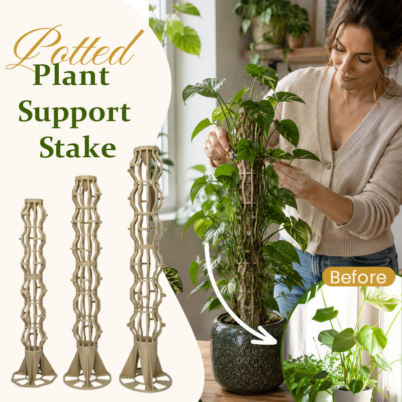 🌿 Supporto per Piante Rampicanti a Forma di Albero – Crescita Verticale ed Eleganza! 🪴✨