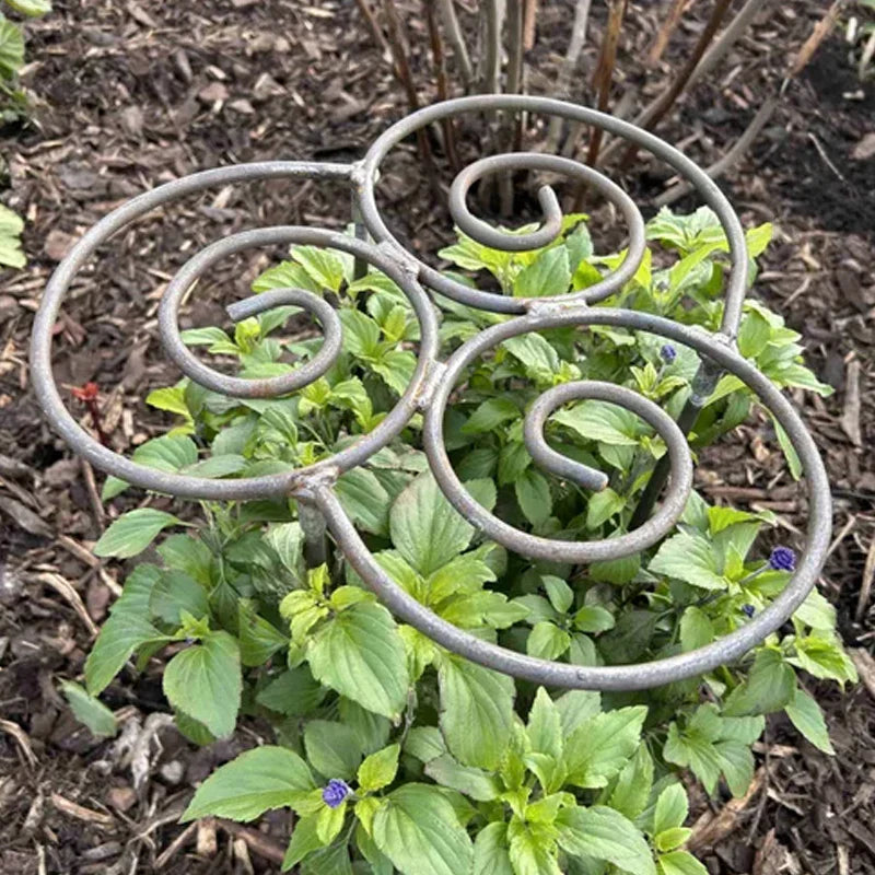 🌱SALDI DI PRIMAVERA 50%🌱 Supporto per piante in ferro pesante per fiori 🌸 I tuoi fiori si ergono maestosi e silenziosi