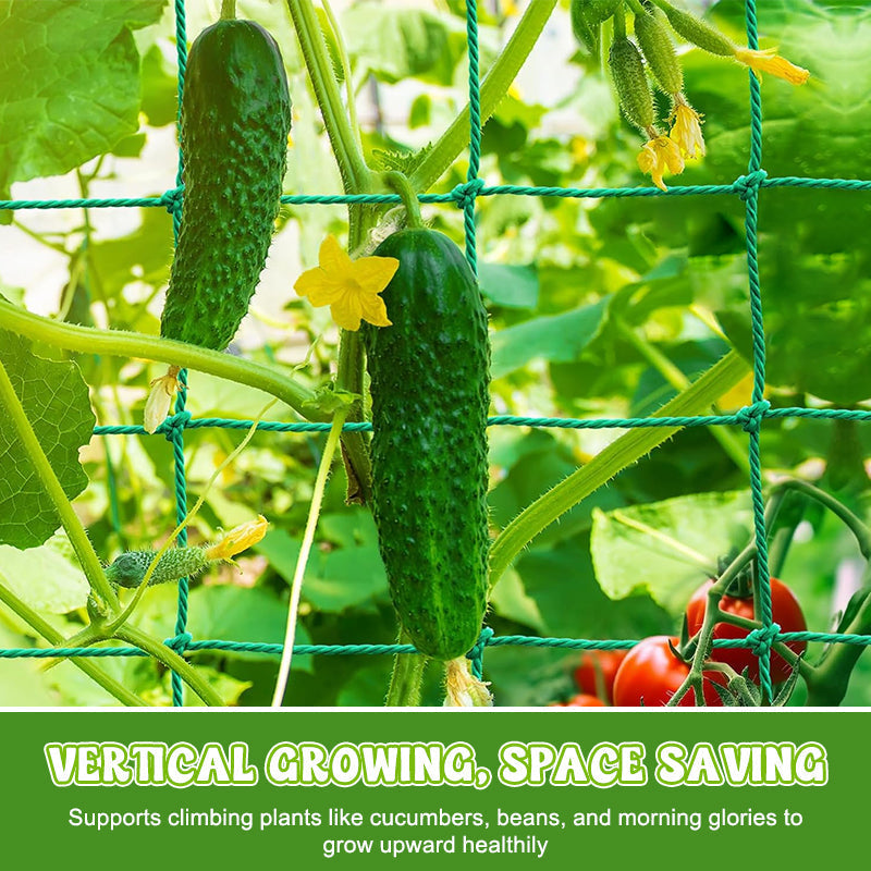 Dite addio ai rami spezzati. La rete ultra resistente per le vostre verdure. 💪🥒--Rete rampicante per piant