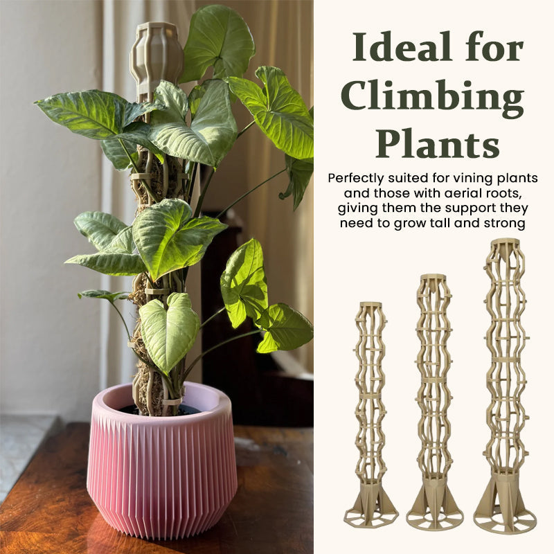 🌿 Supporto per Piante Rampicanti a Forma di Albero – Crescita Verticale ed Eleganza! 🪴✨