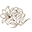 Amoregigli logo