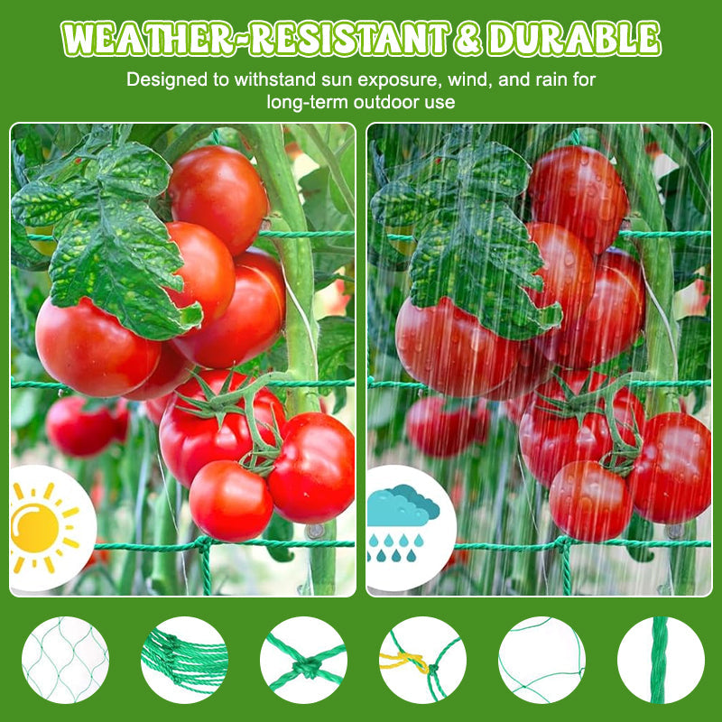 Dite addio ai rami spezzati. La rete ultra resistente per le vostre verdure. 💪🥒--Rete rampicante per piant