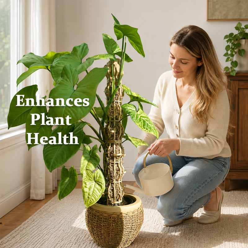 🌿 Supporto per Piante Rampicanti a Forma di Albero – Crescita Verticale ed Eleganza! 🪴✨