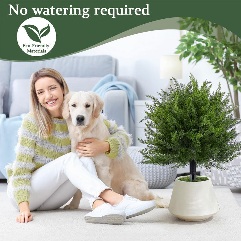 🌿Verde perfetto, ogni giorno dell'anno. 🌲✨--Albero di cedro artificiale per paesaggistica