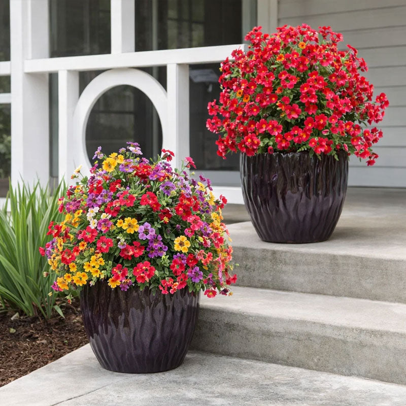 ✨🌷Eucalipto e violette artificiali come decorazione floreale per il terreno