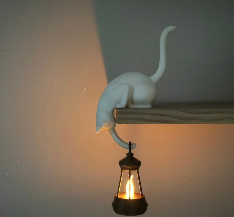 🐈Gancio da Mensola a Forma di Gatto – Pratico, Elegante e Senza Forare il Muro! 🐾✨