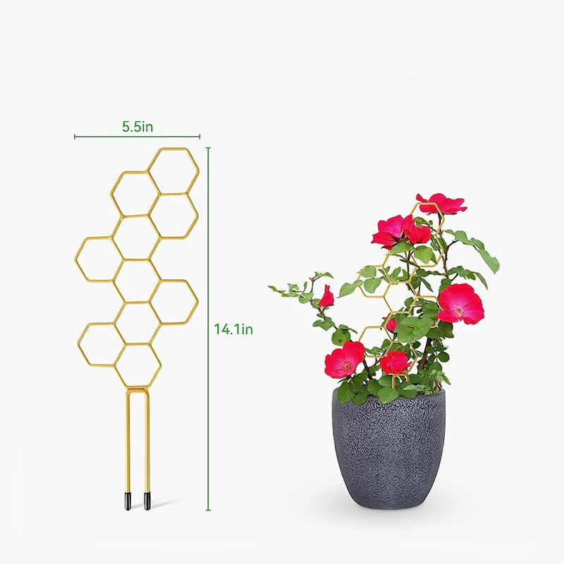 🌿 Offerta a tempo limitato: 40% di sconto! ✨ Supporto per piante a nido d'ape